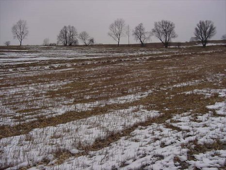Działka przemysłowo-handlowa na sprzedaż Jankowo Gdańskie, JANKOWO GDAŃSKIE, OBWODOWA 20 000m2 Foto 3