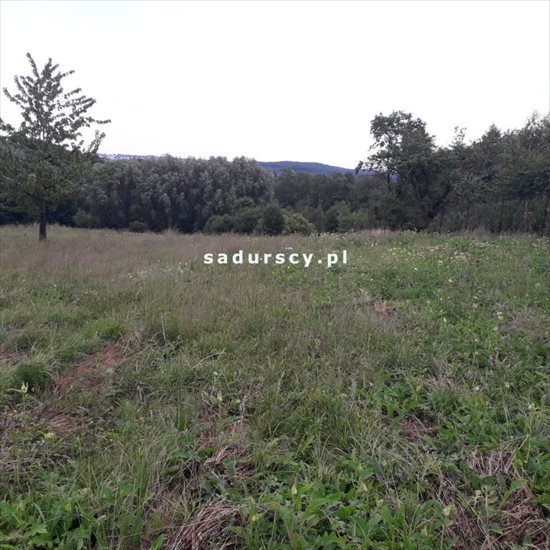 Działka budowlana na sprzedaż Sławkowice 1 438m2 Foto 2