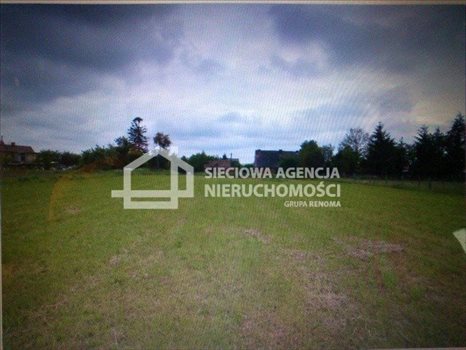 Działka budowlana na sprzedaż Krępa Kaszubska 5 000m2 Foto 2