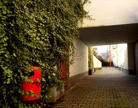 Lokal użytkowy na sprzedaż Poznań, Wilda, Dolna Wilda 48m2 Foto 4