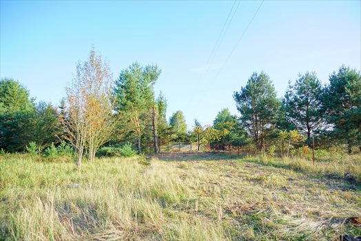 Działka komercyjna na sprzedaż Radziejowice-Parcel 3 900m2 Foto 1