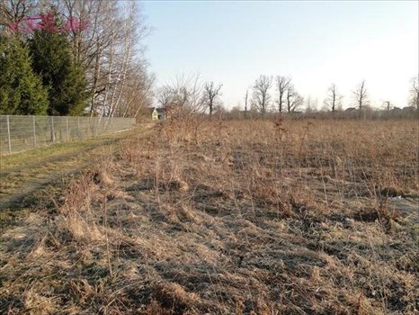 Działka inwestycyjna na sprzedaż Wrocław, Psie-Pole, Pełczyńska 3 000m2 Foto 3