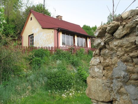 Działka siedliskowa na sprzedaż Witoszyn 2 000m2 Foto 4