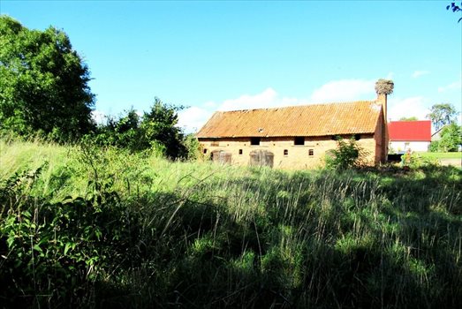 Działka siedliskowa na sprzedaż Krokocie 3 591m2 Foto 3