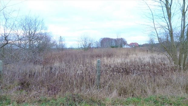 Działka komercyjna na sprzedaż Gorzów Wielkopolski, Karnin 1 162m2 Foto 2