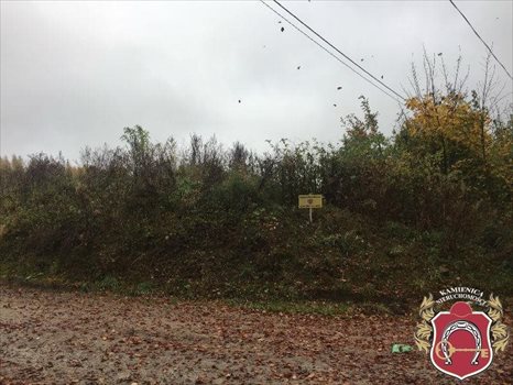 Działka budowlana na sprzedaż Łapino, Łapino Kartuskie, okolice Brzozowa 1 000m2 Foto 9