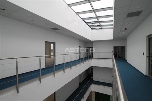 Lokal użytkowy na wynajem Poznań, Ławica, Zakrzewo 40m2 Foto 5