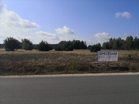 Działka budowlana na sprzedaż Biała, Szczawińska 4 500m2 Foto 4