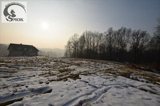 Działka leśna na sprzedaż Mogilany 3 000m2 Foto 1