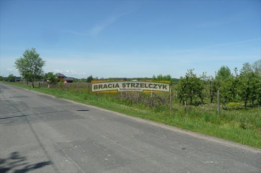Działka budowlana na sprzedaż Dobiesz 4 992m2 Foto 4