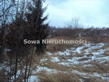 Działka budowlana na sprzedaż Wałbrzych, Piaskowa Góra 7 968m2 Foto 10