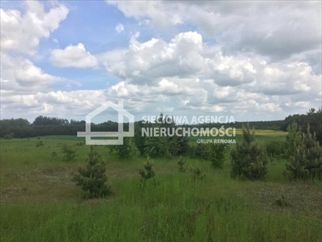 Działka budowlana na sprzedaż Trąbki Małe 3 207m2 Foto 3