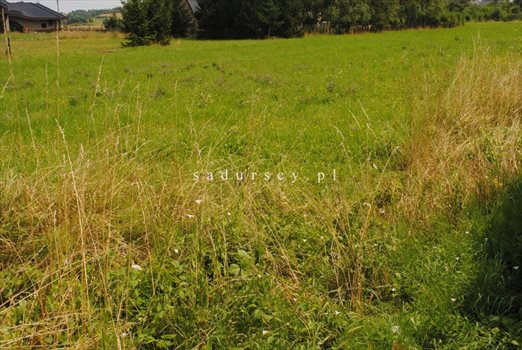 Działka budowlana na sprzedaż Nieszkowice Małe 1 205m2 Foto 6