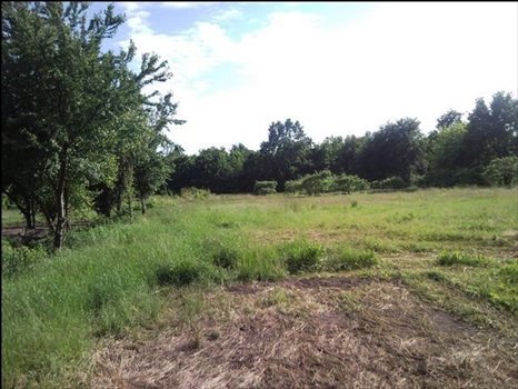Działka budowlana na sprzedaż Konstancin-jeziorna, Klarysew, Sadowa 3 000m2 Foto 1