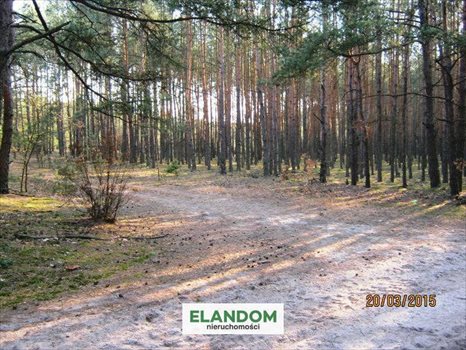 Działka rolna na sprzedaż Ponurzyca 10 000m2 Foto 8