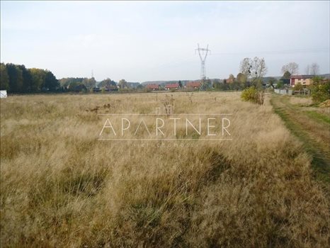 Działka budowlana na sprzedaż Łódź 10 976m2 Foto 9