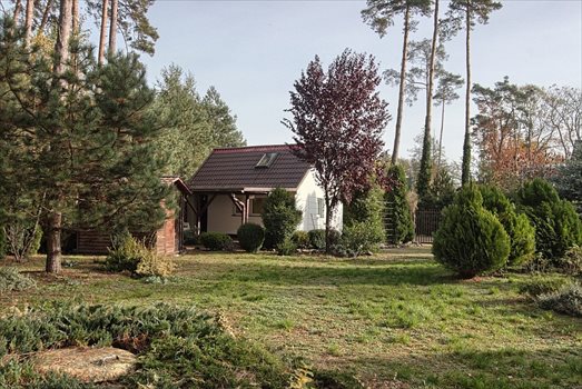Dom na sprzedaż Morzyczyn 40m2 Foto 1