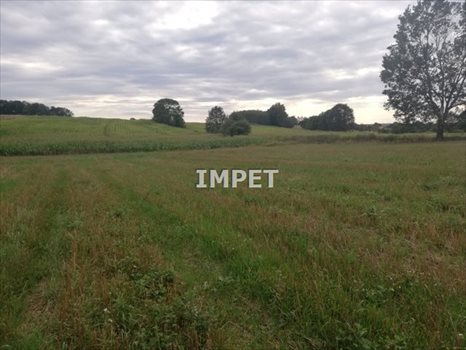 Działka rolna na sprzedaż Dłużyna Dolna 17 069m2 Foto 10