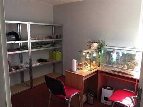 Lokal użytkowy na wynajem Warszawa, Wola, Łucka 75m2 Foto 10