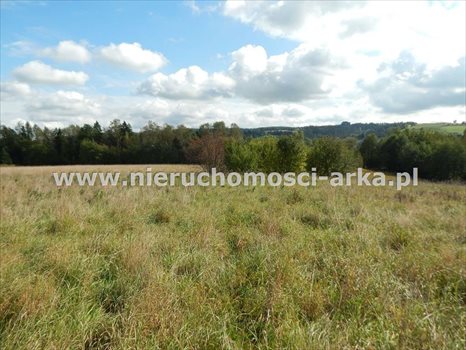 Działka inna na sprzedaż Rabka-Zdrój 3 000m2 Foto 1
