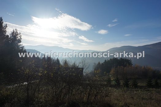 Działka rolna na sprzedaż Szczawa 1 650m2 Foto 2