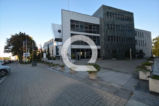 Lokal użytkowy na wynajem Gdynia, Działki Leśne 275m2 Foto 1