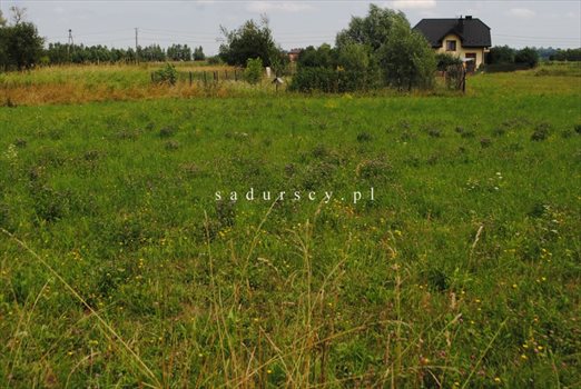 Działka budowlana na sprzedaż Nieszkowice Małe 1 205m2 Foto 1