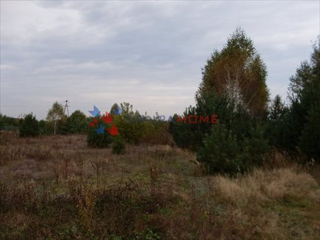 Działka budowlana na sprzedaż Łoś 1 000m2 Foto 3