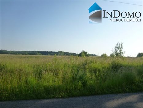 Działka budowlana na sprzedaż Truszczanek 6 100m2 Foto 3