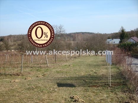 Działka inna na sprzedaż Kazimierz Dolny, Góry 3 300m2 Foto 9