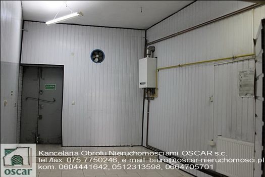 Lokal użytkowy na wynajem Zgorzelec, Centrum 60m2 Foto 6