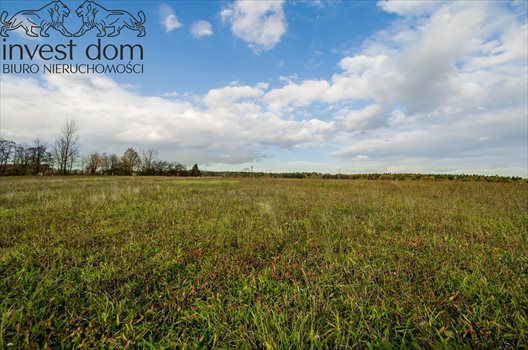 Działka budowlana na sprzedaż Zagórzany 1 720m2 Foto 4
