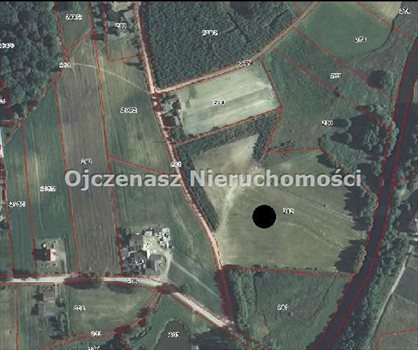 Działka leśna na sprzedaż Sąpolno 23 300m2 Foto 5