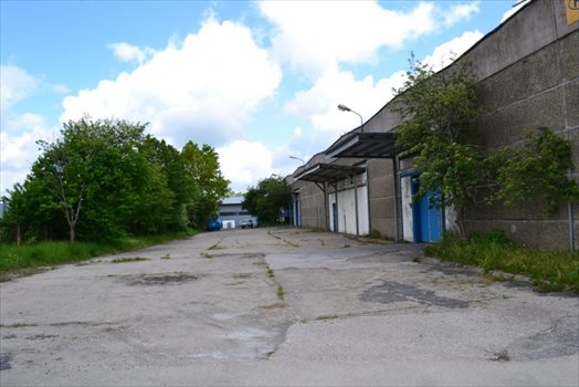 Lokal użytkowy na wynajem Inowrocław, Marcinkowskiego 121 864m2 Foto 9