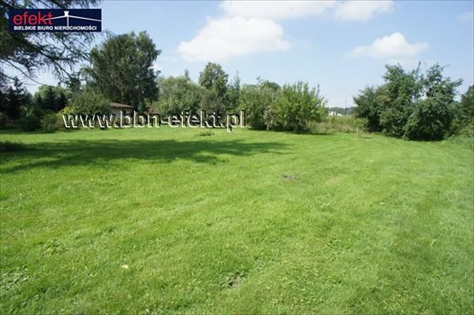 Działka budowlana na sprzedaż Międzyrzecze Dolne 1 100m2 Foto 4