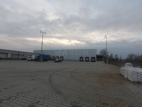 Lokal użytkowy na wynajem Konin, ul. bł. Maksymiliana Kolbego 2 431m2 Foto 5