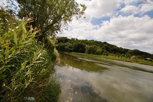 Działka rekreacyjna na sprzedaż Bachórzec 3 600m2 Foto 8