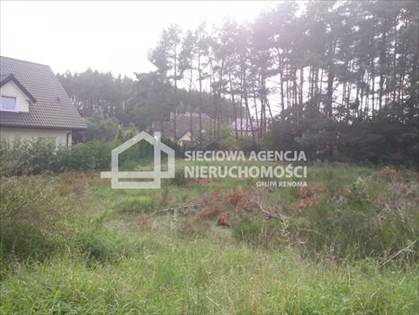 Działka budowlana na sprzedaż Bojano 1 068m2 Foto 5