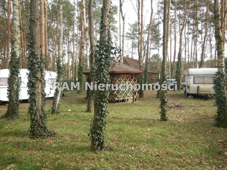 Działka budowlana na sprzedaż Radzyń 451m2 Foto 7