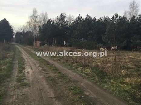 Działka budowlana na sprzedaż Łoś, Łoś 1 000m2 Foto 4