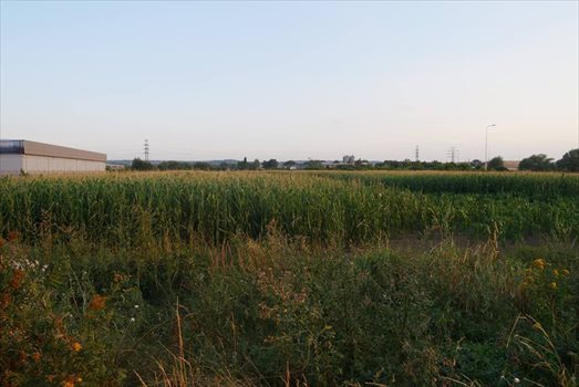 Działka budowlana na sprzedaż Kraków, Podgórze, Rybitwy, Rybitwy 4 200m2 Foto 4