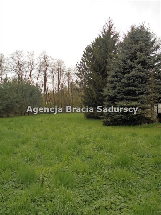Działka rolna na sprzedaż Januszowice 2 800m2 Foto 9
