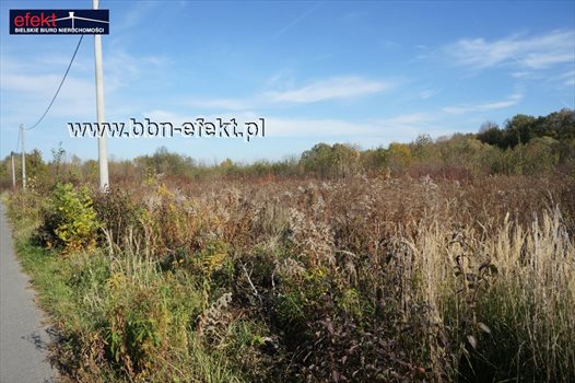 Działka inna na sprzedaż Bielsko-Biała, Stare Bielsko 1 977m2 Foto 5