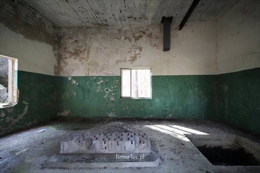 Lokal użytkowy na sprzedaż Borek 50m2 Foto 2