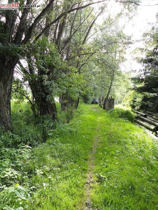 Działka budowlana na sprzedaż Lednica Górna, Lednica Górna, Lednica Górna 3 000m2 Foto 2