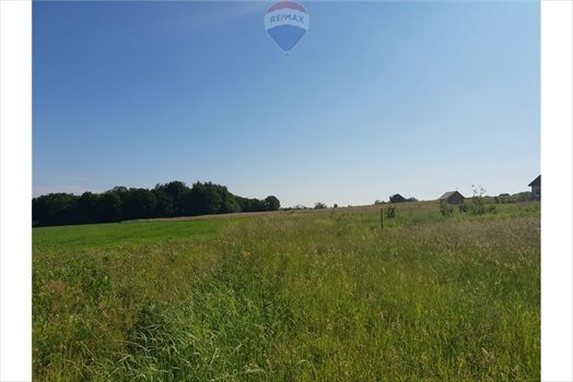 Działka budowlana na sprzedaż Grodziec 1 220m2 Foto 3
