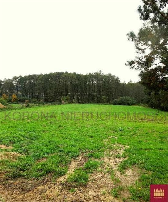 Działka budowlana na sprzedaż Rybnik 3 990m2 Foto 7