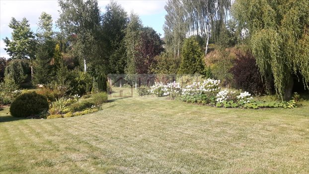 Działka rolna na sprzedaż Jastków 5 300m2 Foto 6