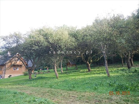 Działka budowlana na sprzedaż Kraków, Zwierzyniec, Olszanica, Pod Skałą 2 031m2 Foto 3