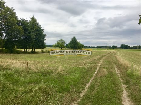 Działka rolna na sprzedaż Brok 58 900m2 Foto 3